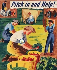 pitch_in_and_help
